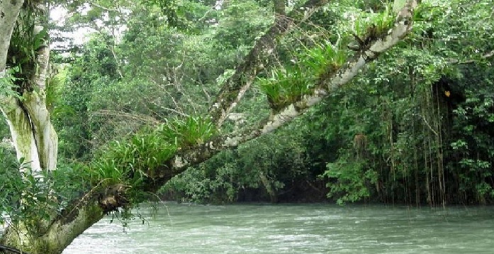 Εξαφανίστηκε εν μία νυκτί ο ποταμός Atoyac στο Μεξικό- Δείτε τί συνέβη [βίντεο]