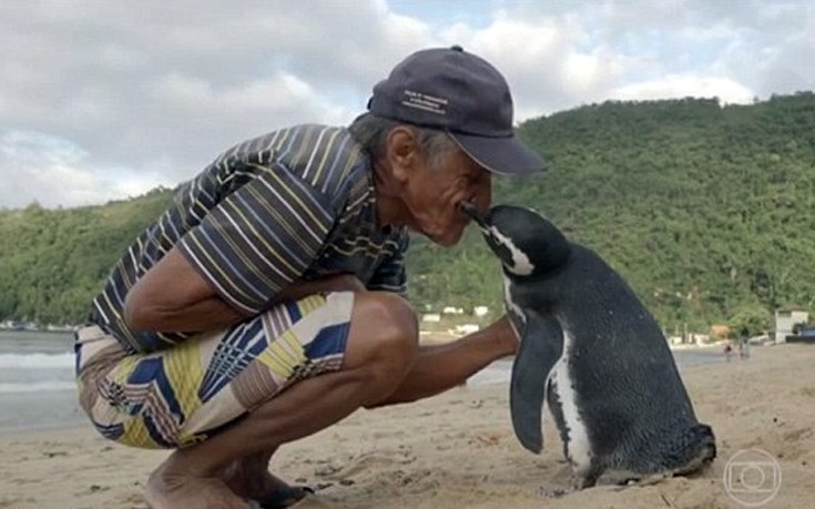 Ο άνδρας που έγινε φίλος με έναν πιγκουίνο! [φωτό-βίντεο]