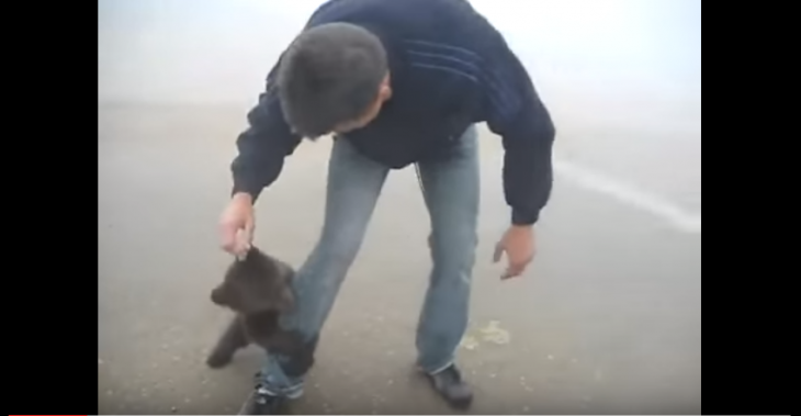 Η πιο γλυκιά… επίθεση αρκούδας που έχετε δει! [βίντεο]
