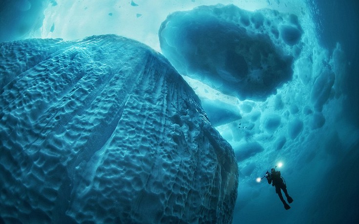 Ο θαυμαστός κόσμος του βυθού- Πλάσματα και στιγμές κάτω από την επιφάνεια της θάλασσας (φωτό)