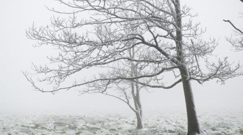Πυκνές χιονοπτώσεις και χαλάζι στο Βέλγιο (φωτό)