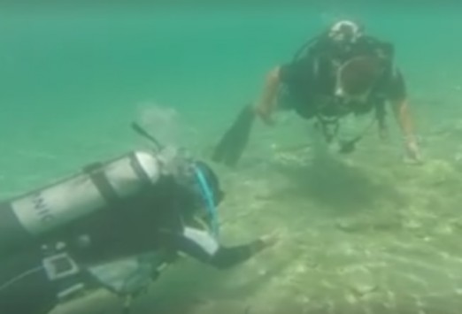 Κρήτη: Το υποβρύχιο ψάρεμα που σαρώνει – Δείτε τις απίθανες εικόνες στο βυθό (vid)