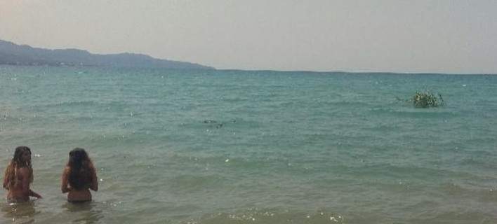 Το «νησάκι» που ξεφύτρωσε από τη νεροποντή στην παραλία της Καλαμάτας [φωτό]