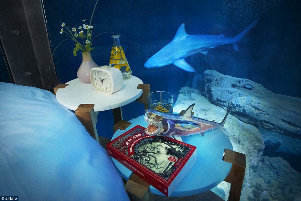 The shark-themed bedroom will be available for three days, after which it will be used as a study centre for marine biologists 