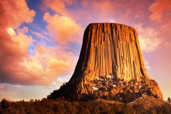 Μία ακόμα παρανοϊκή θεωρία: Τα βουνά είναι… απολιθωμένα προϊστορικά δέντρα!