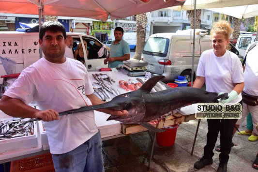 Αυτή είναι ψαριά: Έπιασαν ξιφία 50 κιλών στην Αργολίδα (vid)