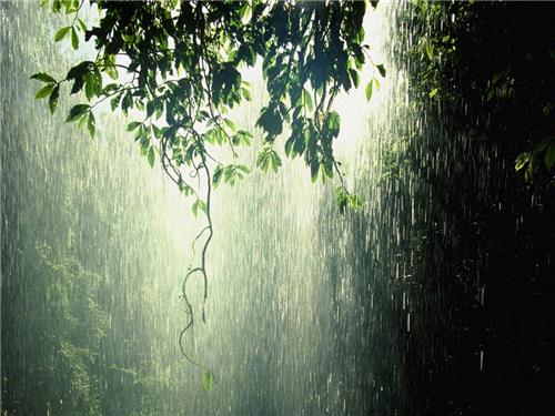 Αλλάζει το σκηνικό του καιρού από το απόγευμα με βροχές και κατά τόπους ισχυρές καταιγίδες – Αναλυτικά η πρόγνωση