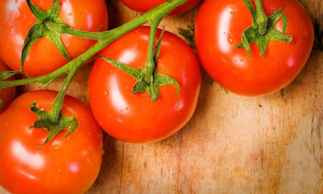 Πρέπει να μπαίνουν οι ντομάτες στο ψυγείο; Τί λένε οι επιστήμονες