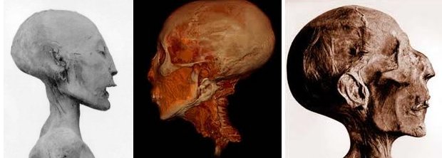 Αριστερά, ο σκελετός της Νεφερτίτις, κέντρο, Τουταγχαμών και δεξιά το κρανίο του Ραμσή