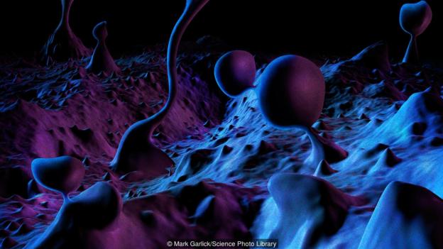  Mark Garlick/Science Photo Library)