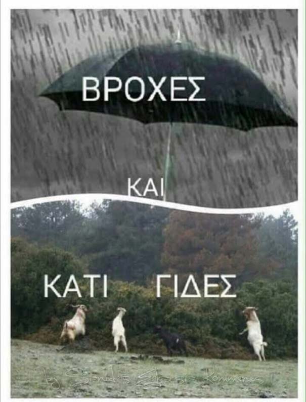 Αστείες Φωτογραφίες #731 (9)