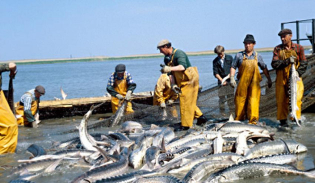 Ρώσοι ψαράδες πίστευαν ότι έπιασαν πολλά ψάρια αλλά στα δίχτυα τους περίμενε … (βίντεο)