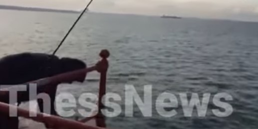Θεσσαλονίκη: Το ψάρεμα στον Θερμαϊκό έκρυβε μία μεγάλη έκπληξη (βίντεο)