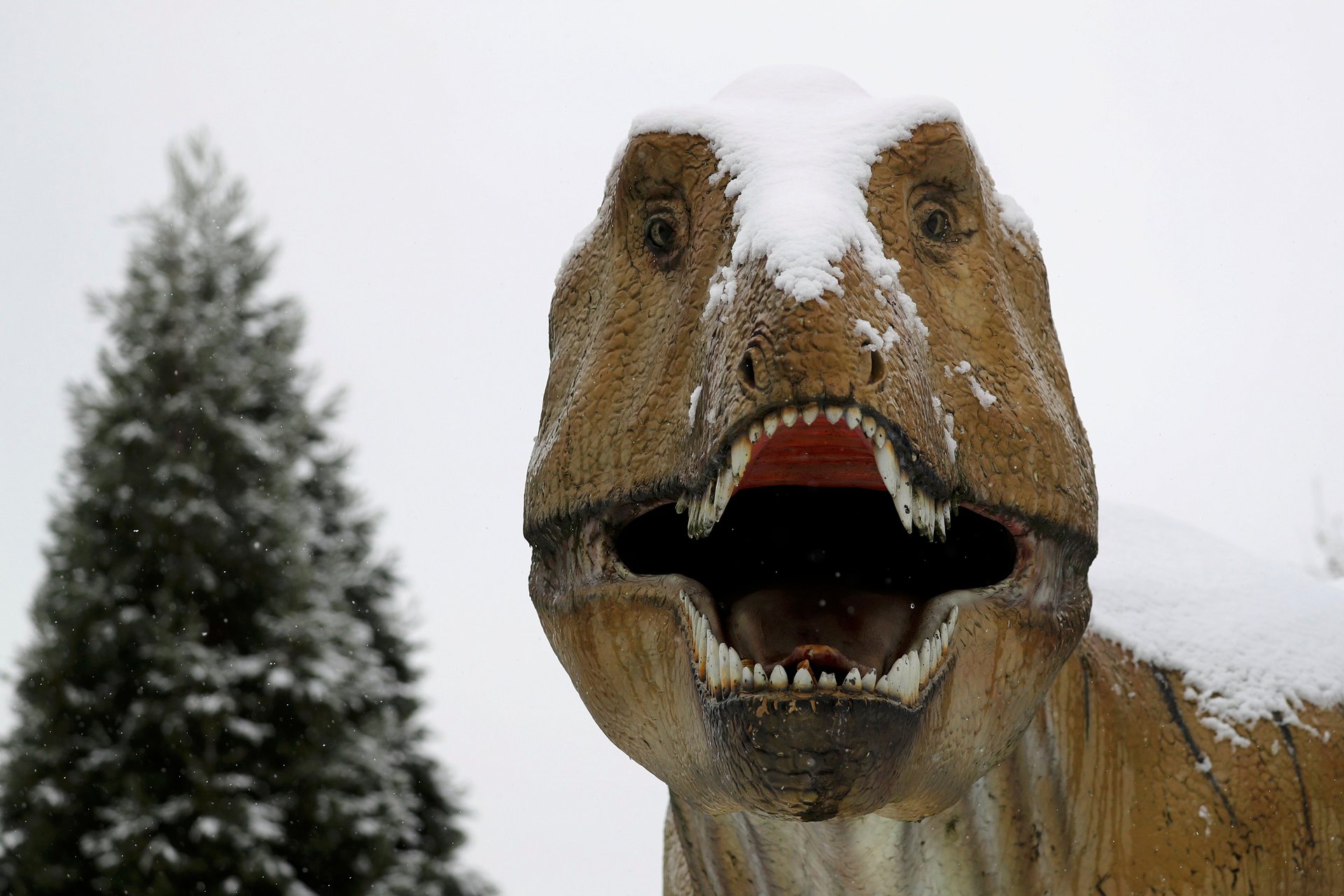 Похолодание динозавры. Антарктические динозавры. Динозавры в холода. Доисторические животные во льду. Динозавры зимой.