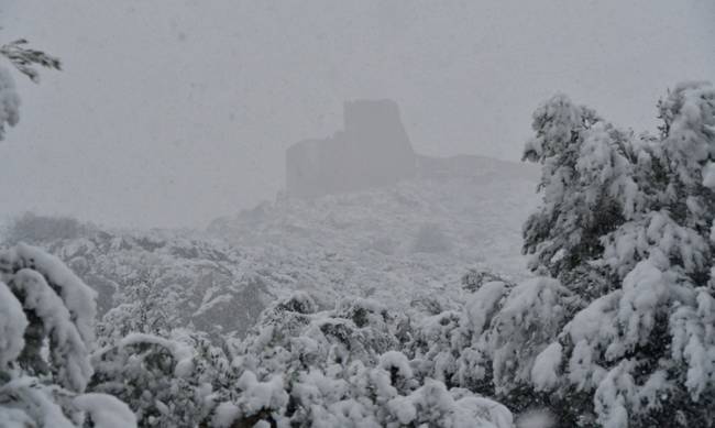 Εύβοια: Κατατέθηκε μήνυση κατά των δημοτικών αρχόντων της Κύμης για τα προβλήματα από τον χιονιά