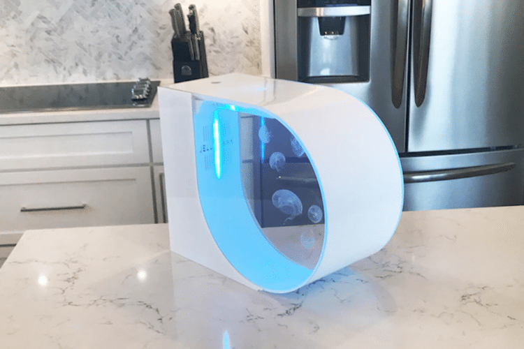 Το νέο Ενυδρείο που Σαρώνει στο Εξωτερικό. Δείτε ΤΙ έχει μέσα, αντί για Ψάρια, και θα Μείνετε με Ανοιχτό το Στόμα!