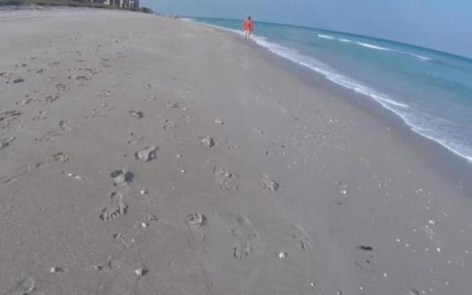 Ψαράς έπαθε σοκ: Έπιασε καρχαρία με πετονιά (βίντεο)