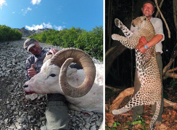 Θυμάστε τον Κτηνίατρο που δολοφονούσε Άγρια & Σπάνια Ζώα για την Ευχαρίστησή του; Δείτε την Τραγική του κατάληξη…