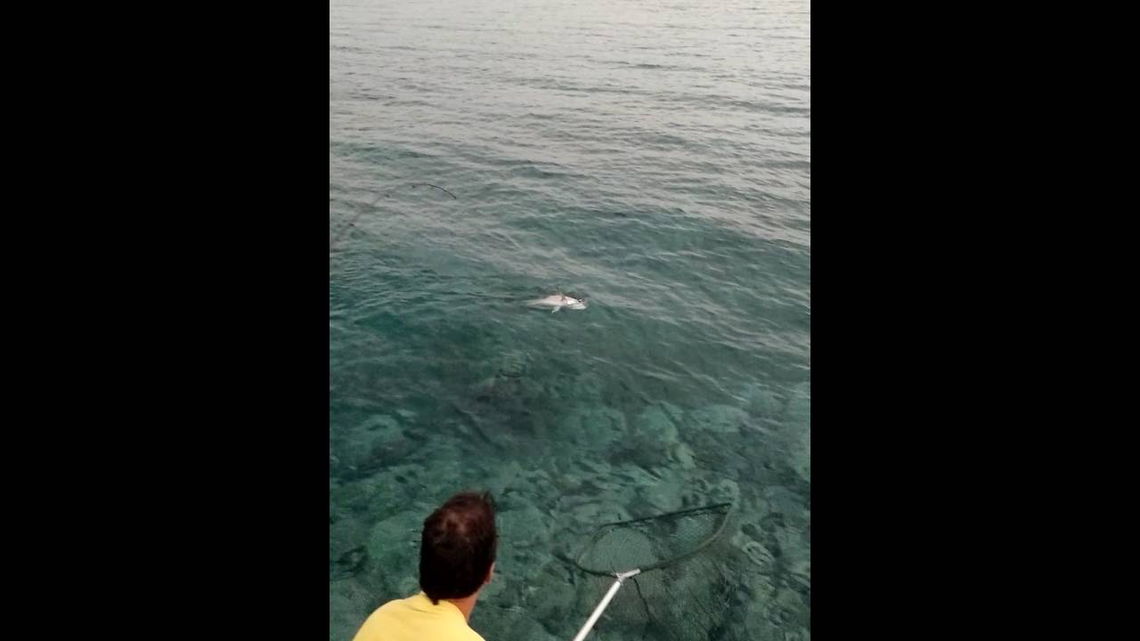 Βίντεο: Ανυποψίαστος ψαράς δε πιστεύει στη τύχη του!