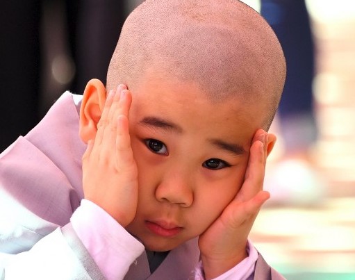 Σοκαρισμένοι οι μικροί βουδιστές μοναχοί μετά το ξύρισμα του κεφαλιού! (φωτό)