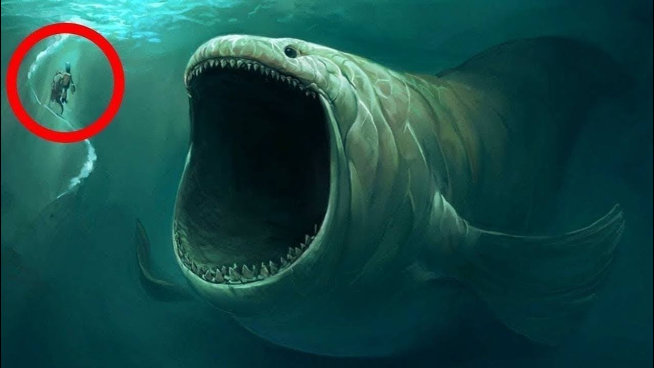 Όταν η Ν.Ο.Α.Α επιβεβαίωσε την ύπαρξη «θαλάσσιων τεράτων» (βίντεο)