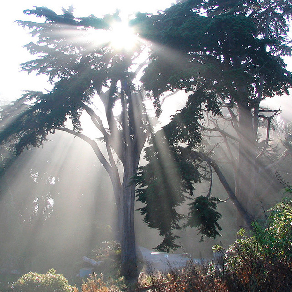 perierga.gr - Τα μογικό ταξίδι των ηλιαχτίδων...