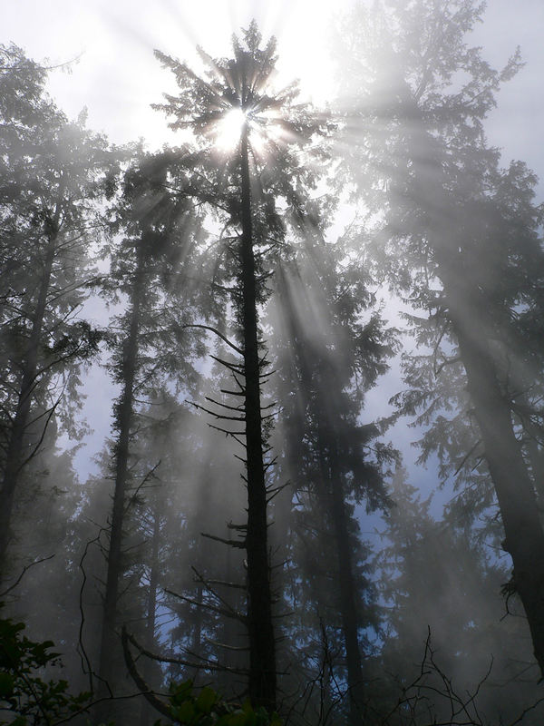 perierga.gr - Τα μογικό ταξίδι των ηλιαχτίδων...