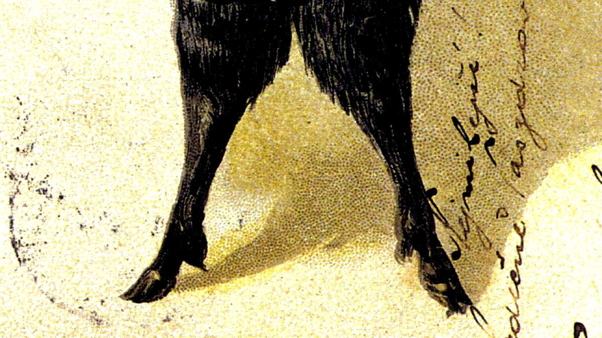 «Τα Ίχνη του Διαβόλου» - Το απόκοσμο φαινόμενο που δε βρήκε ποτέ την εξήγησή του