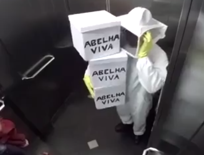 Επική φάρσα μέσα σε ασανσέρ – Μελισσοκόμος απελευθερώνει κατά λάθος μέλισσες! (βίντεο)