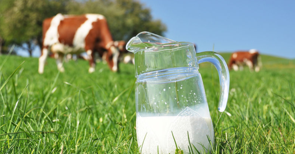 Έρευνα: Το αγελαδινό γάλα ψηλώνει τα παιδιά