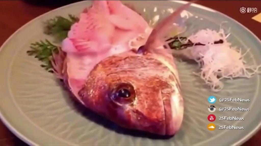 Βίντεο: Το μισοφαγωμένο ψάρι ζωντάνεψε και πετάχτηκε έξω από το πιάτο