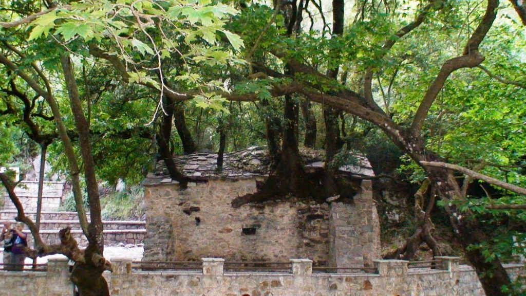 Πόλος έλξης το εκκλησάκι που χτίστηκε μέσα… σε δέντρο προς τιμήν του Άγιου Παϊσιου(φωτό)