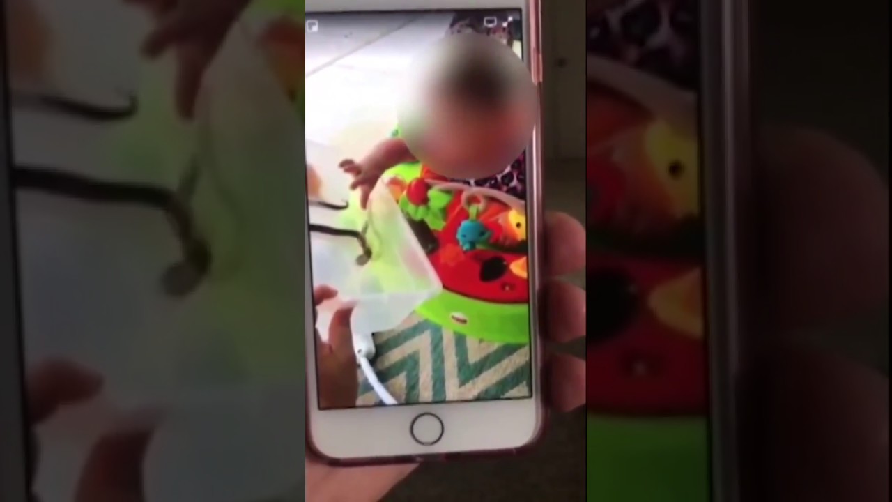 Βίντεο: Μητέρα αφήνει φίδι να δαγκώνει την κόρη της- Δείτε το λόγο!