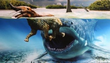 Tα πιο τρομακτικά προϊστορικά πλάσματα δεν ήταν δεινόσαυροι! (φωτό)