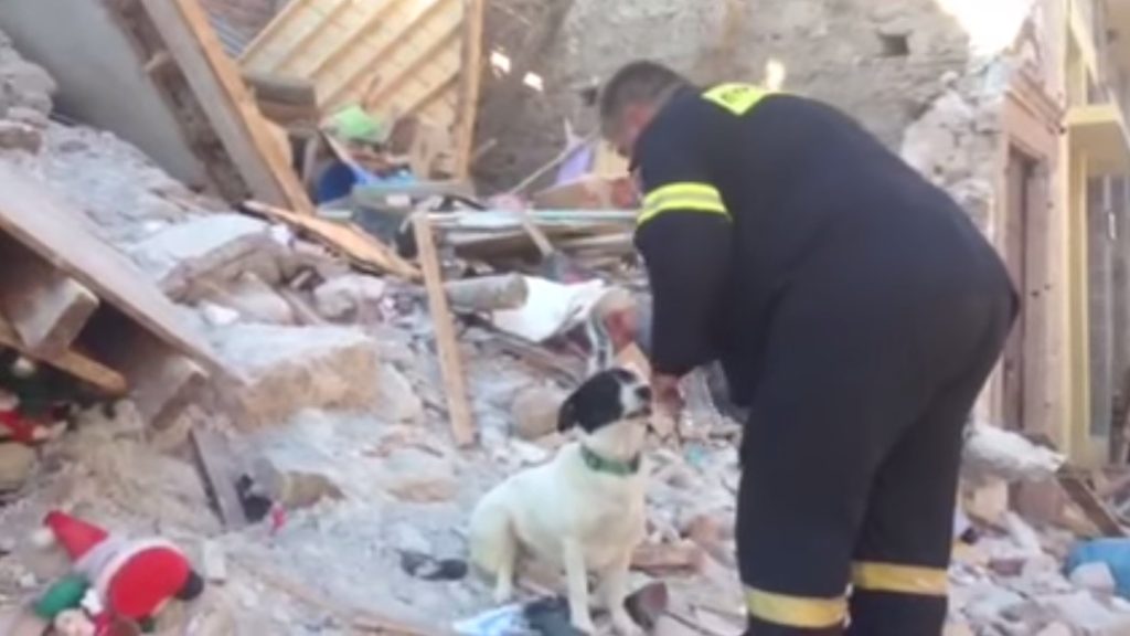 Βρίσα: Το σκυλί της αδικοχαμένης 43χρονης έσκαβε να την βρει στα ερείπια και έμεινε εκεί κλαίγοντας (φωτό)