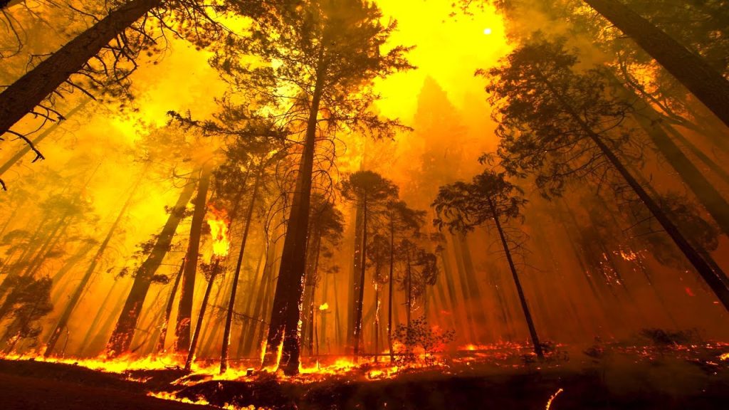 Μεγάλη πυρκαγιά αυτή την ώρα στην Αρηνή Ζαχάρως (φωτό) (upd)