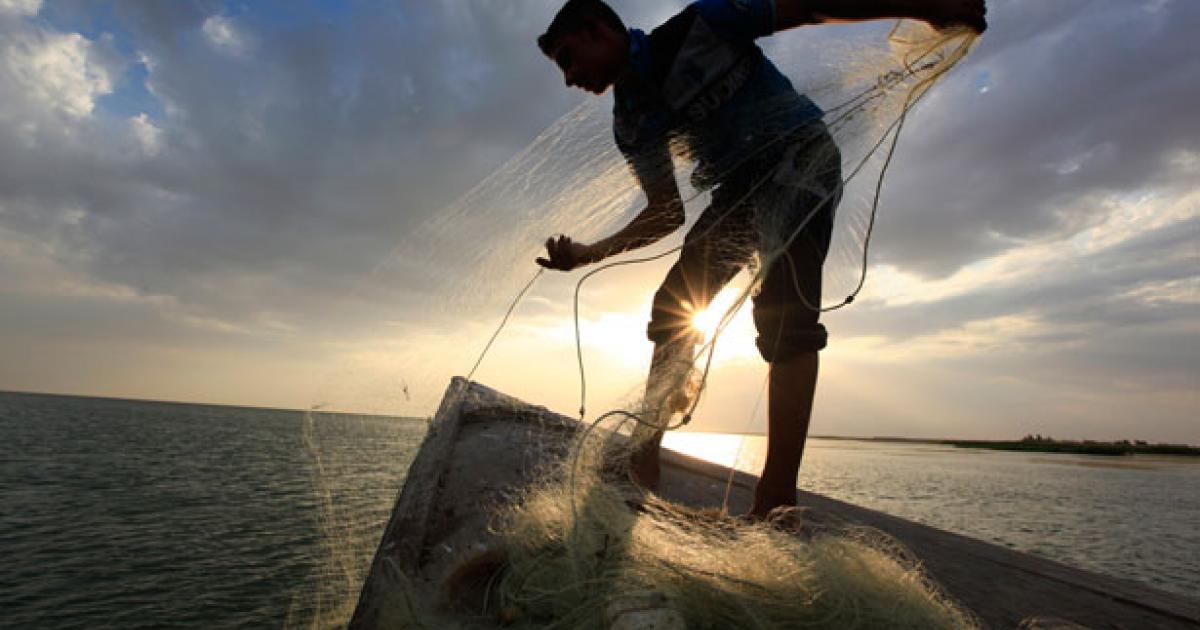 Βίντεο: Ψαράς έμεινε έκπληκτος όταν έπιασε ψάρι και ξαφνικά είδε…