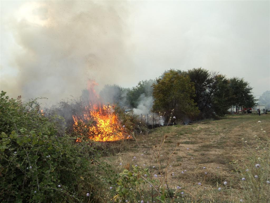 Συνελήφθη 34χρονος στην Κύπρος επειδή προκάλεσε φωτιά