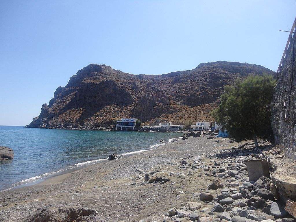 Κρήτη: Ξεβράστηκαν νεκρά ψάρια στην παραλία Δισκό (φωτό)