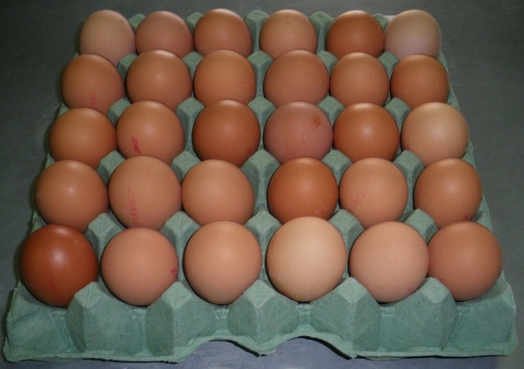 Εφετ: Οδηγίες προς τους καταναλωτές για την αγορά αυγών