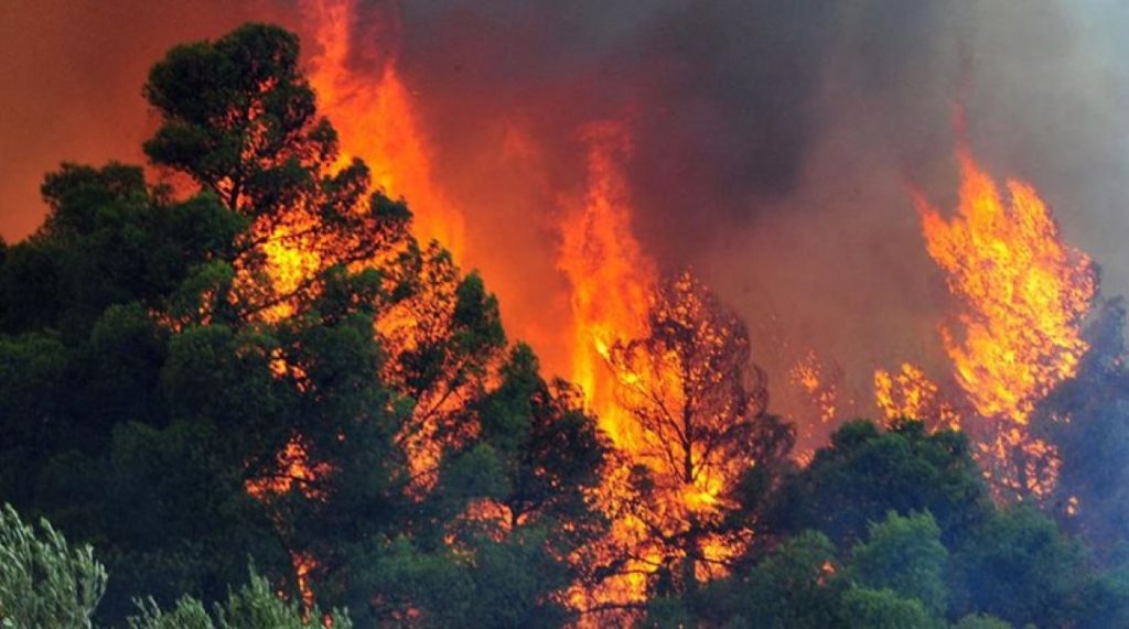 Λέσβος: Μεγάλη φωτιά στην περιοχή του Καρά Τεπέ – Απειλούνται σπίτια κοντά στο αεροδρόμιο (βίντεο) (upd)