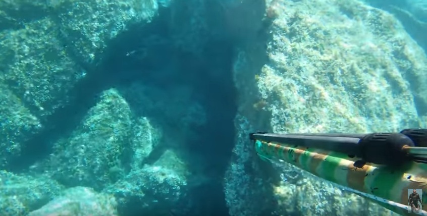 Ψαροντούφεκο στην Ελλάδα – Δείτε βίντεο με υποβρύχιες λήψεις