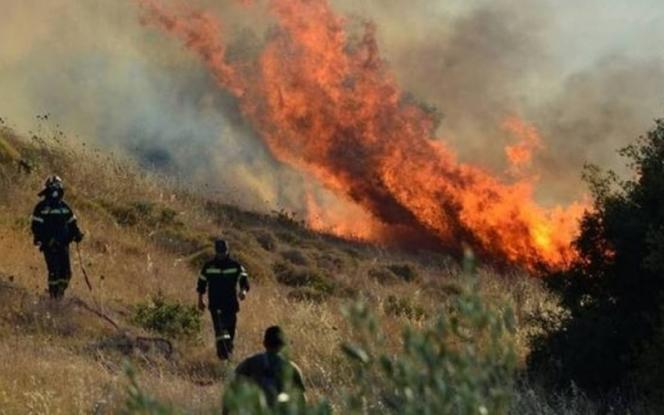 Μεγάλη πυρκαγιά στην Αγία Ειρήνη της Κεφαλονιάς – Η φωτιά έχει «ξεφύγει» λόγω ισχυρών ανέμων
