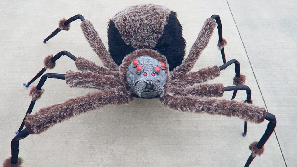 Απίστευτο γέλιο: Σας έχουν κάνει ποτέ φάρσα με αράχνη; – Δείτε τις 10 πιο αστείες φάρσες (βίντεο)