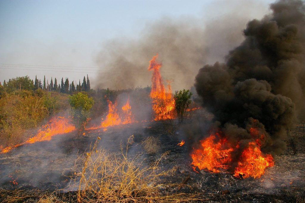 Σε ύφεση η φωτιά στο Κρυονέρι Αττικής – Δεν απειλούνται κατοικημένες περιοχές (φωτό, βίντεο) (upd)