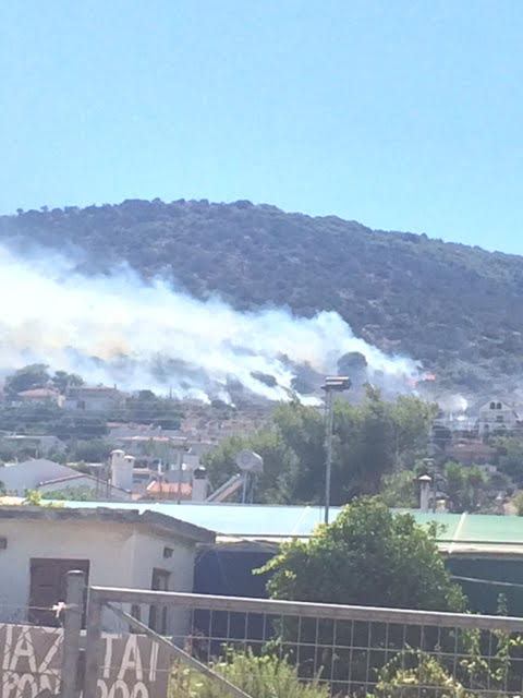 Πυρκαγιά πλησίον κατοικήσιμης περιοχής στη Λούτσα – Απειλούνται σπίτια (φωτό) (upd)