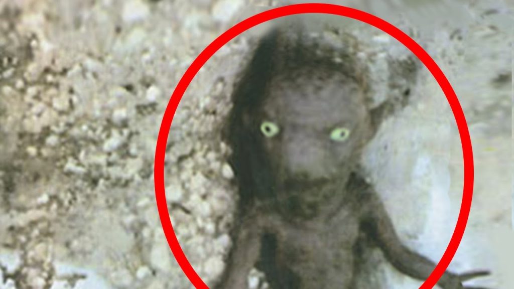 Bίντεο: 5 εξωγήινα πλάσματα ξεχασμένα και παρατημένα στην Γη!