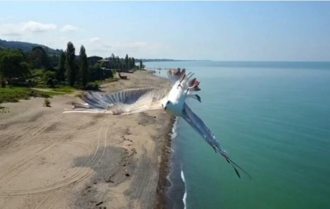 Παραλίγο να τρακάρουν ένα drone με ένα γλάρο – Ο γλάρος ξέφυγε με ένα απίστευτο ελιγμό (βίντεο)