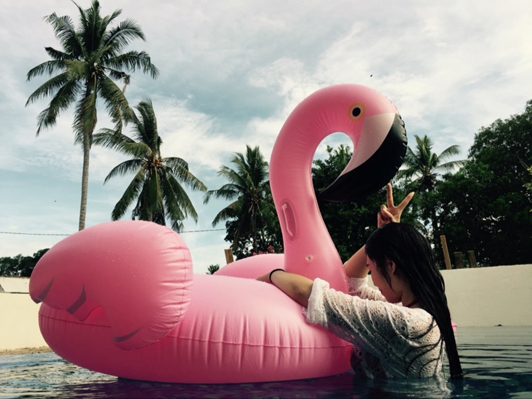 Flamingo mania και στην Κρήτη – Ταξί μεταφέρει τεράστιο φουσκωτό και γίνεται viral (φωτό)