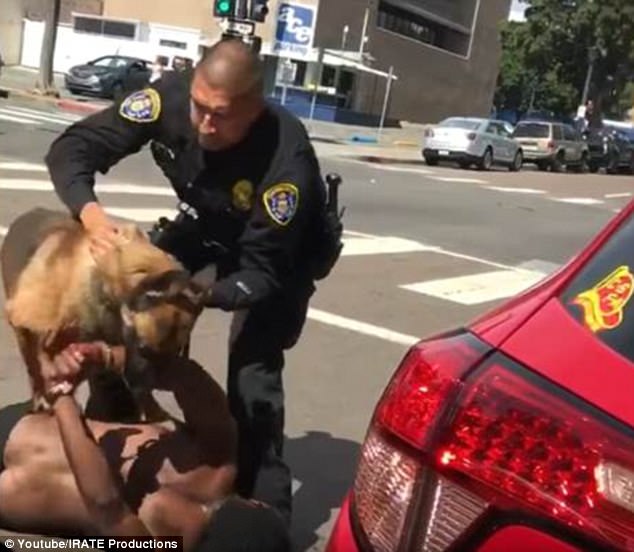Καλιφόρνια: Αστυνομικοί αφήνουν Κ9 να δαγκώσει άντρα που μόλις συνέλαβαν! (βίντεο)
